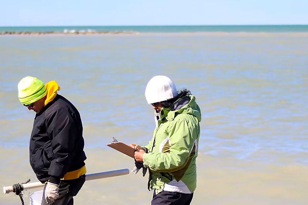 Volunteers help to clean up beach along Lake Huron's southeast shoreline.
