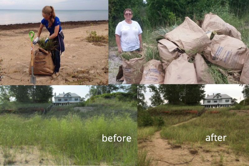 before and after pictures